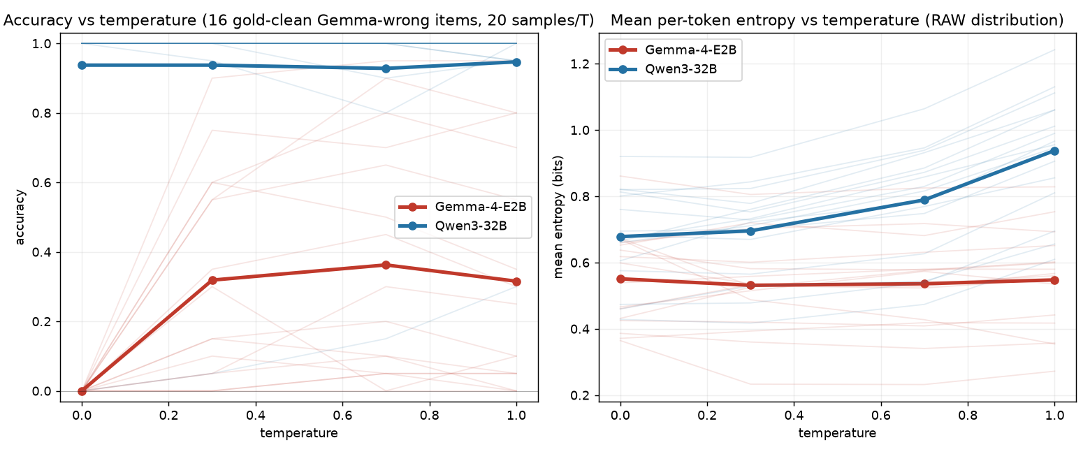 Scaled sweep, 16 items, 20 samples per temperature. Left: accuracy vs temperature, Gemma pinned at 0 for greedy and ~0.34 sampled with wide per-item spread, Qwen high and flat ~0.94. Right: mean raw entropy vs temperature, Gemma flat ~0.54, Qwen rising 0.68 to 0.94.